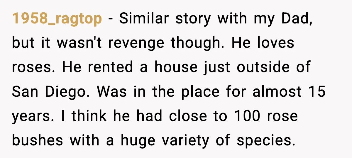 Artist Evicted So Landlord’s Daughter Could Steal Her Murals, She Painted Over Everything First