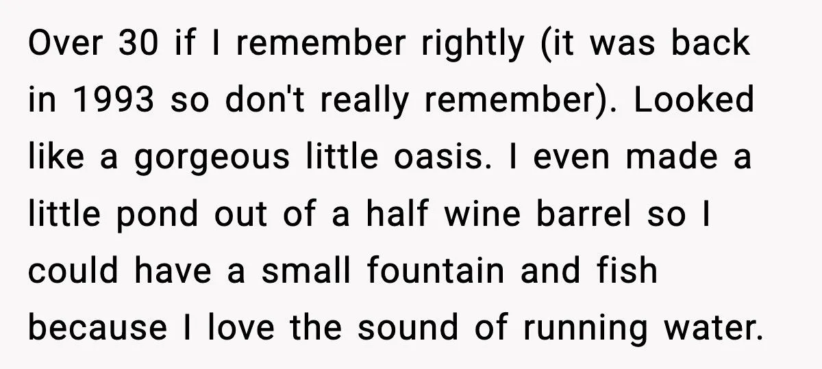 Artist Evicted So Landlord’s Daughter Could Steal Her Murals, She Painted Over Everything First