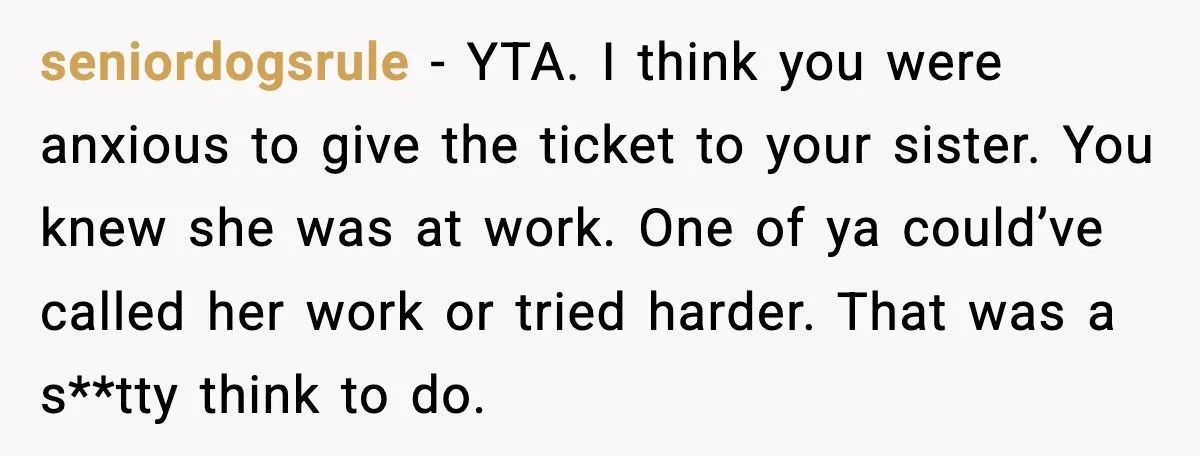 Woman Gives Her Sister Friend’s Taylor Swift Ticket And Leaves Without Her