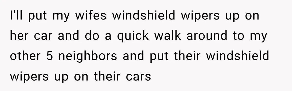 Tried to Do a Good Deed, Got Cussed Out. Next Day? Karma Froze Their Wipers
