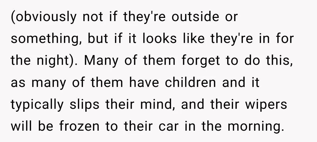 Tried to Do a Good Deed, Got Cussed Out. Next Day? Karma Froze Their Wipers