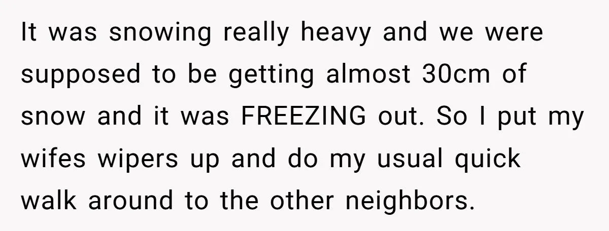 Tried to Do a Good Deed, Got Cussed Out. Next Day? Karma Froze Their Wipers