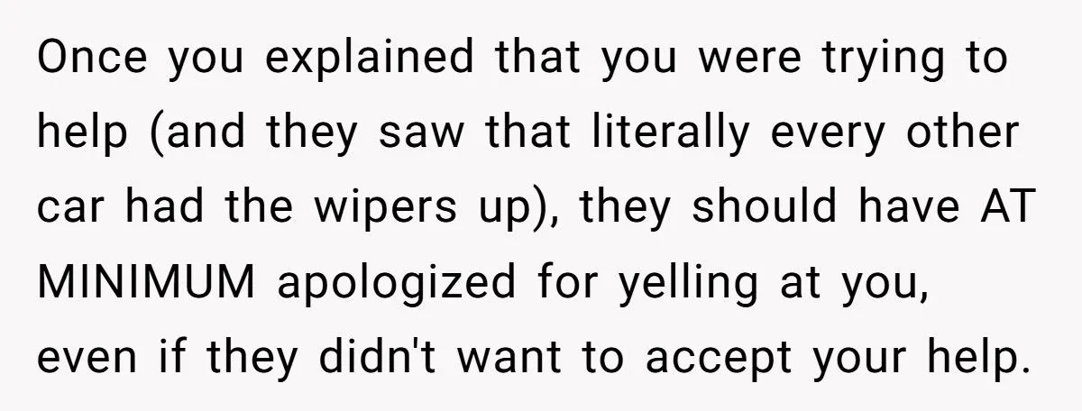 Tried to Do a Good Deed, Got Cussed Out. Next Day? Karma Froze Their Wipers