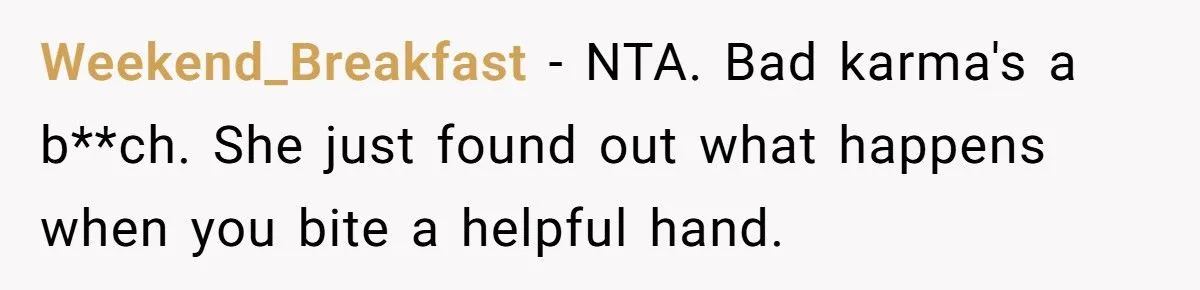 Tried to Do a Good Deed, Got Cussed Out. Next Day? Karma Froze Their Wipers