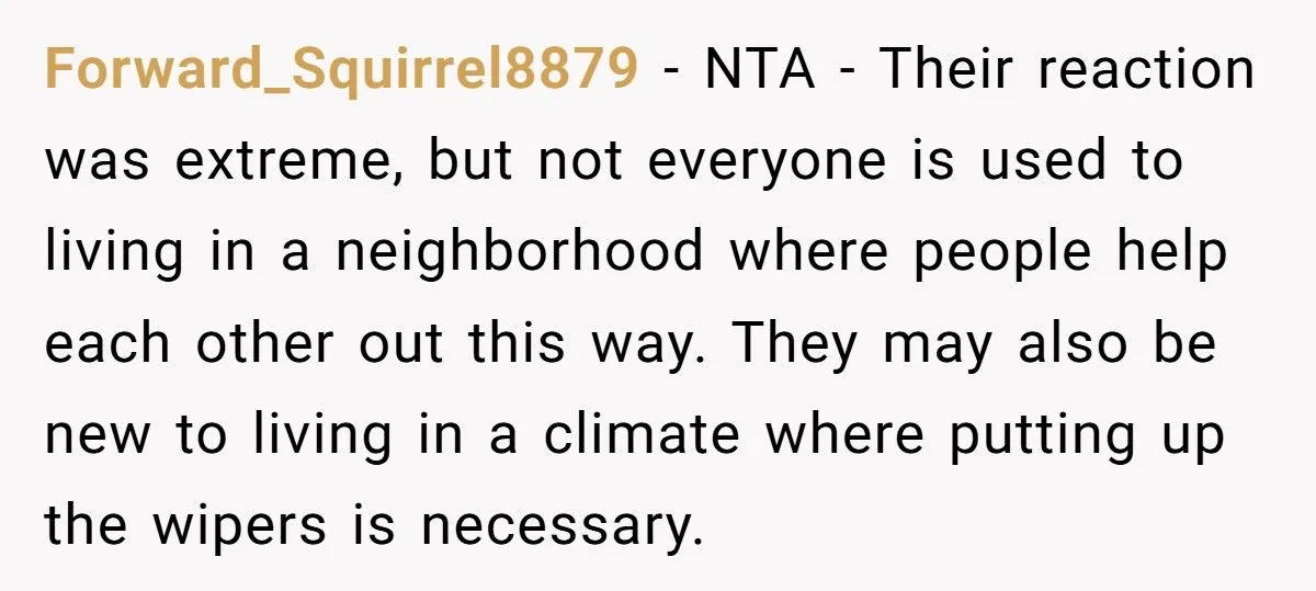 Tried to Do a Good Deed, Got Cussed Out. Next Day? Karma Froze Their Wipers