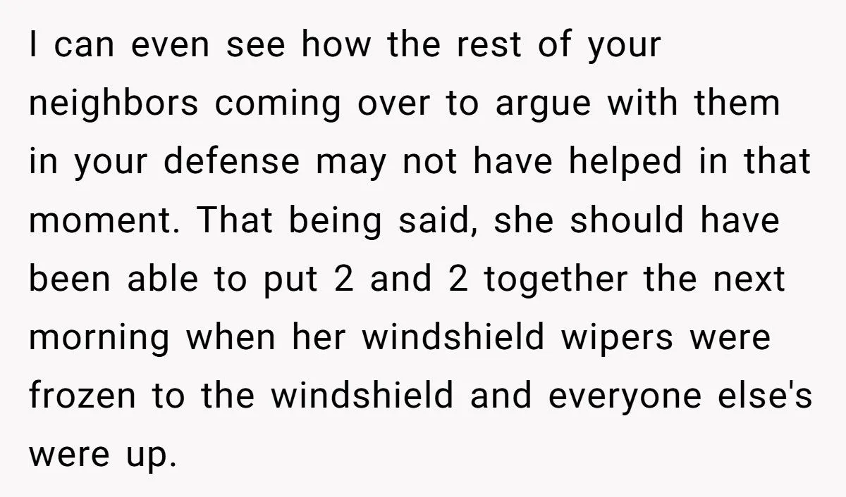 Tried to Do a Good Deed, Got Cussed Out. Next Day? Karma Froze Their Wipers
