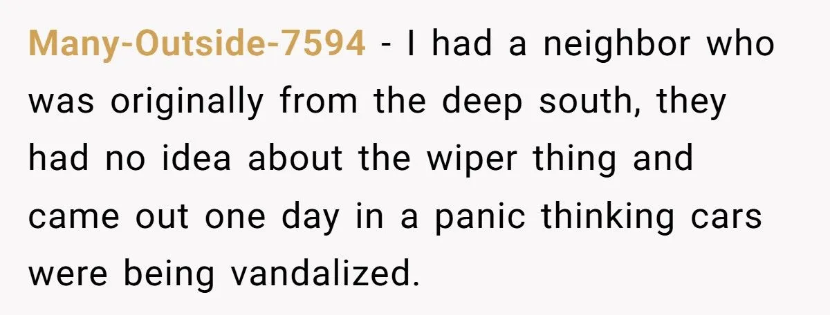 Tried to Do a Good Deed, Got Cussed Out. Next Day? Karma Froze Their Wipers