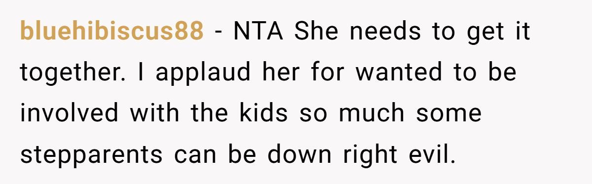 A Stepmom Tried to Push Their Biological Parent Aside During Kids’ Activities Generated by Aubtu.biz