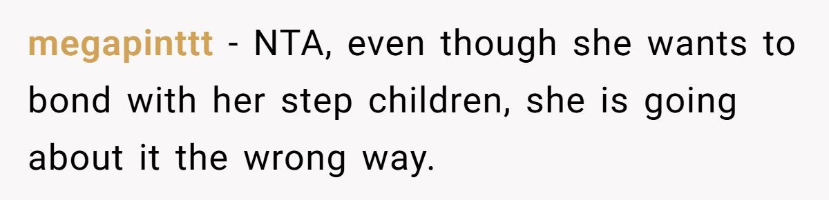 A Stepmom Tried to Push Their Biological Parent Aside During Kids’ Activities Generated by Aubtu.biz