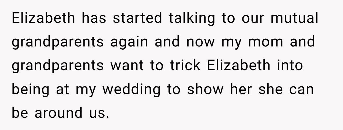 Groom Blocks Mom From Using Wedding to Force Reunion With Hateful Sister Generated by Aubtu.biz