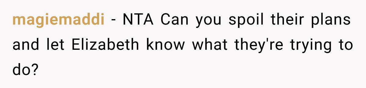 Groom Blocks Mom From Using Wedding to Force Reunion With Hateful Sister Generated by Aubtu.biz