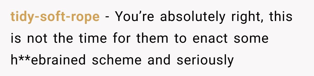 Groom Blocks Mom From Using Wedding to Force Reunion With Hateful Sister Generated by Aubtu.biz