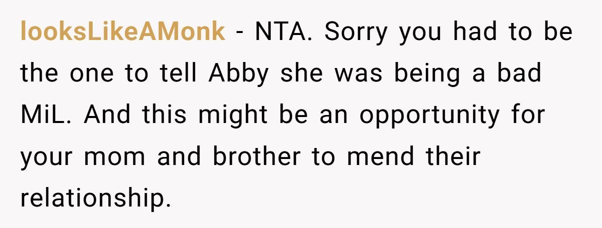 Family Feud: Redditor Calls Out SIL’s Hypocrisy Over Mom’s Invite Generated by Aubtu.biz