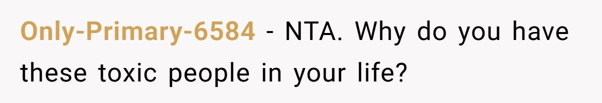 Family Feud: Redditor Calls Out SIL’s Hypocrisy Over Mom’s Invite Generated by Aubtu.biz