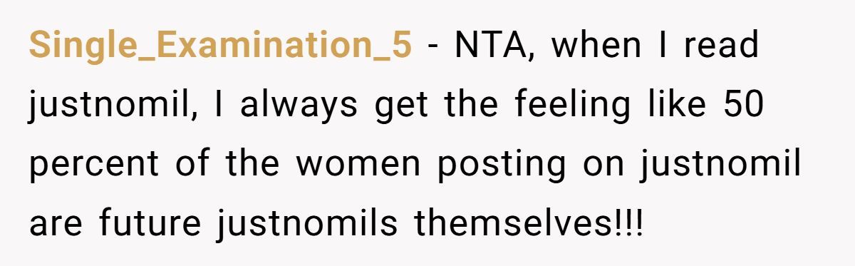 Family Feud: Redditor Calls Out SIL’s Hypocrisy Over Mom’s Invite Generated by Aubtu.biz