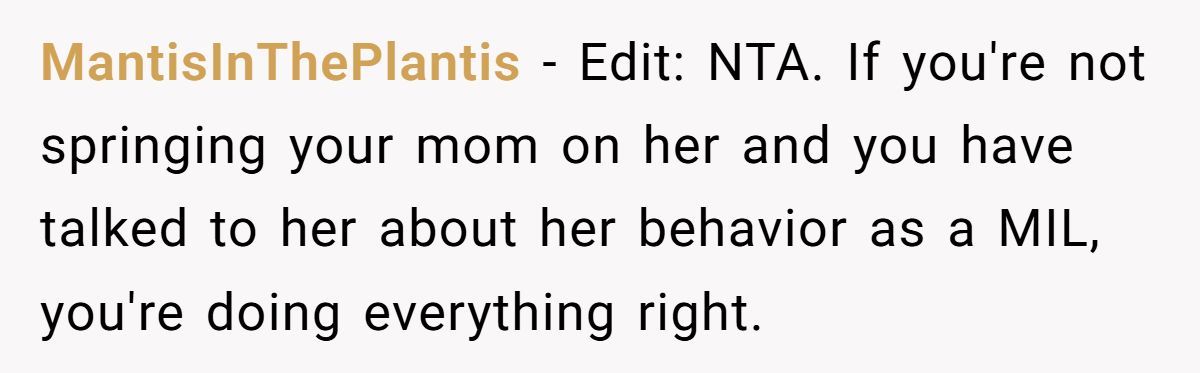 Family Feud: Redditor Calls Out SIL’s Hypocrisy Over Mom’s Invite Generated by Aubtu.biz