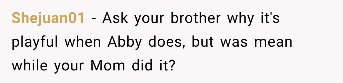 Family Feud: Redditor Calls Out SIL’s Hypocrisy Over Mom’s Invite Generated by Aubtu.biz