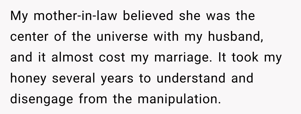 Family Feud: Redditor Calls Out SIL’s Hypocrisy Over Mom’s Invite Generated by Aubtu.biz