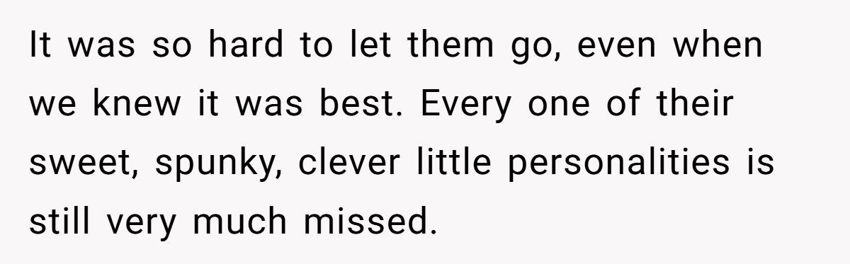 Generated by Aubtu.biz 