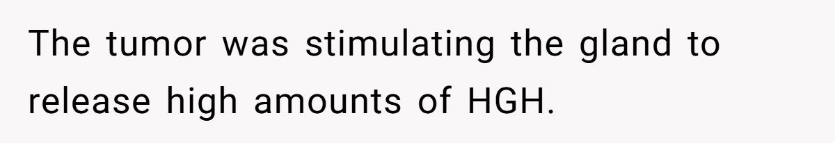 Generated by Aubtu.biz 