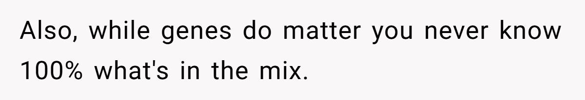 Generated by Aubtu.biz 