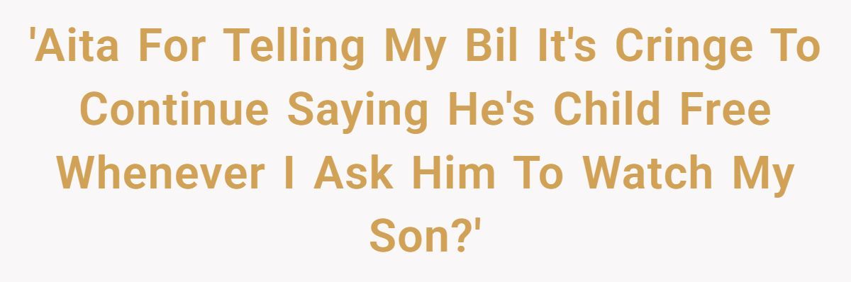 A Man Shamed His Child-Free BIL for Refusing to Watch His Son - Now the Family Wants an Apology Generated by Aubtu.biz