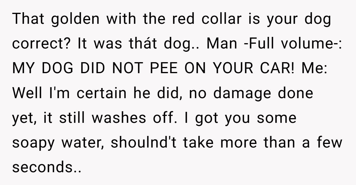 Generated by Aubtu.biz 