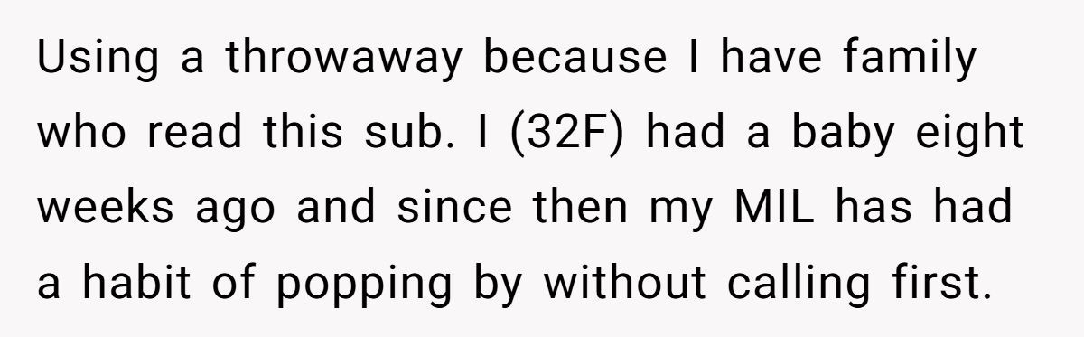 She Didn’t Answer the Door When MIL Came Without Calling - Family Drama Ensues Generated by Aubtu.biz
