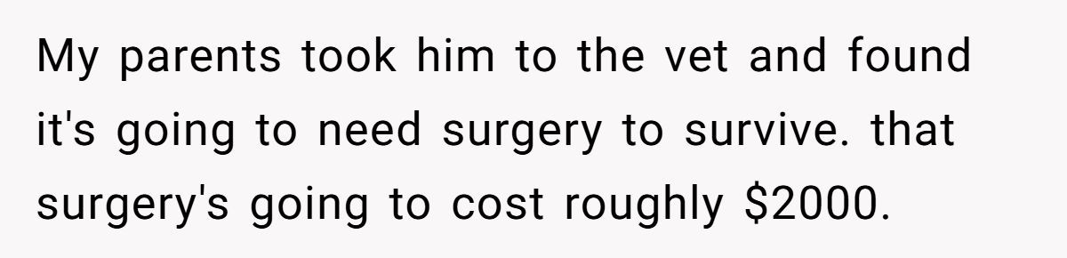 Generated by Aubtu.biz 