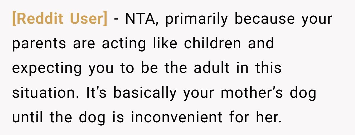 Generated by Aubtu.biz 