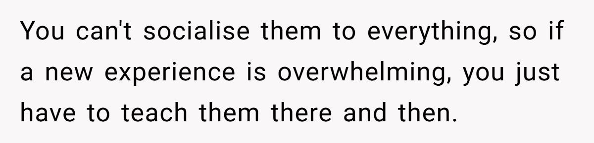 Generated by Aubtu.biz 