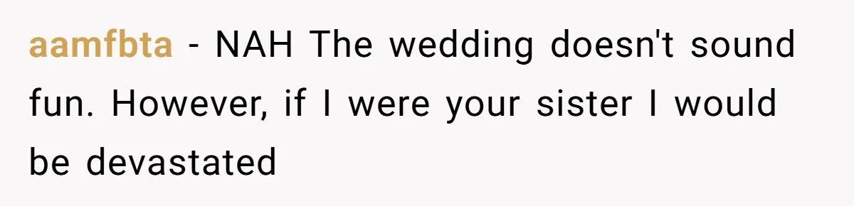 When His Sister Planned a Culture-Based Segregated Wedding, He Refused to Attend — And Picked a Friend’s Party Instead Generated by Aubtu.biz
