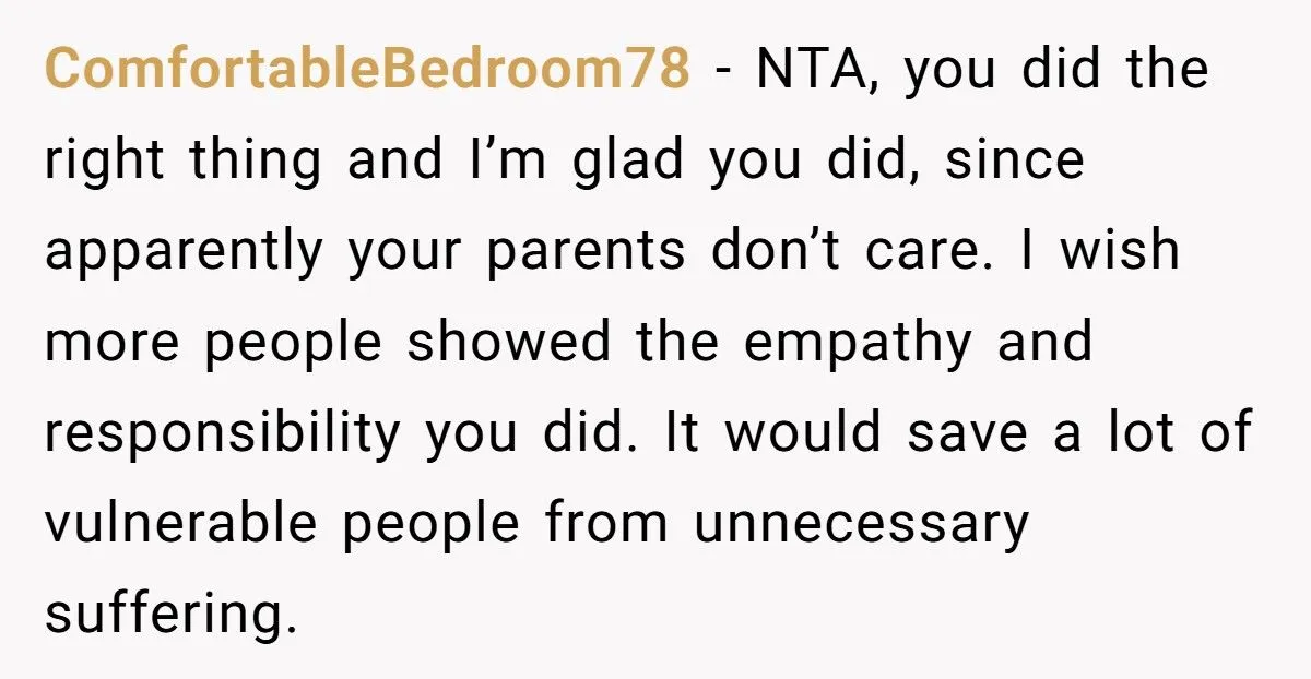 Generated by Aubtu.biz 