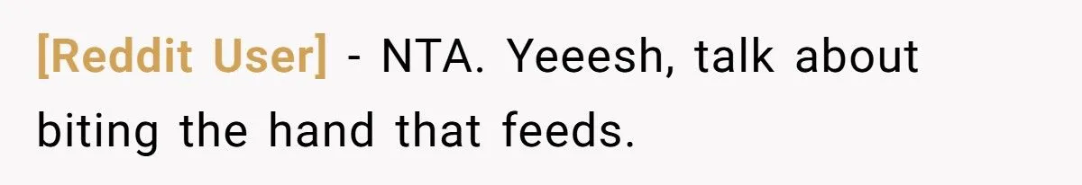 Woman’s Babysitting Blowup: Was An Ultimatum To Her Sister Fair Or Harsh? Generated by Aubtu.biz