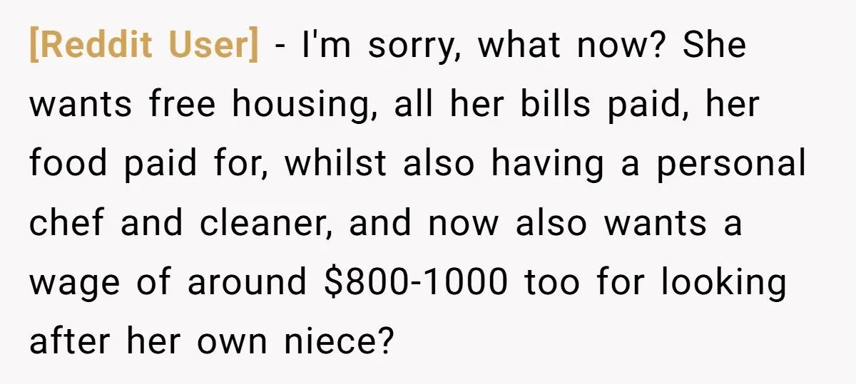 Woman’s Babysitting Blowup: Was An Ultimatum To Her Sister Fair Or Harsh? Generated by Aubtu.biz