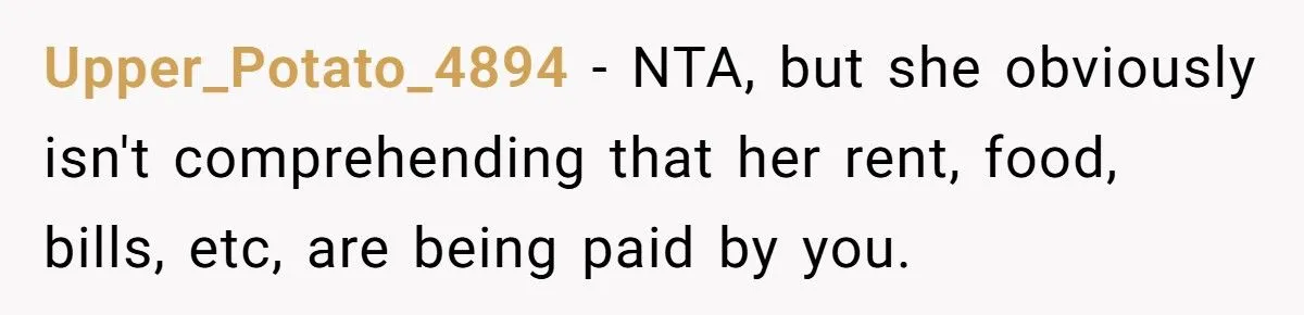 Woman’s Babysitting Blowup: Was An Ultimatum To Her Sister Fair Or Harsh? Generated by Aubtu.biz
