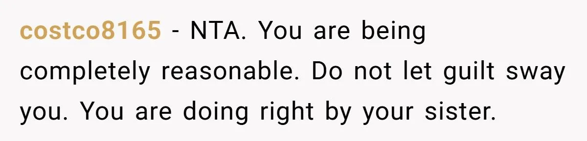 Woman’s Babysitting Blowup: Was An Ultimatum To Her Sister Fair Or Harsh? Generated by Aubtu.biz