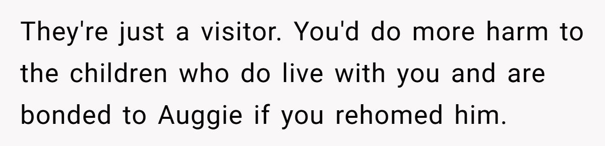 Generated by Aubtu.biz 