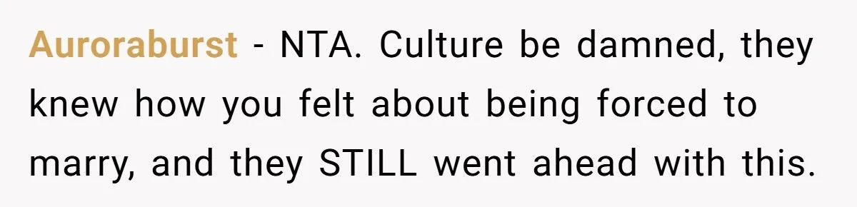 A Redditor’s Rebellion Against Tradition Sparks Family Fireworks Generated by Aubtu.biz