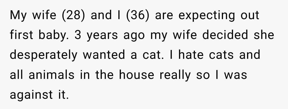 Generated by Aubtu.biz 