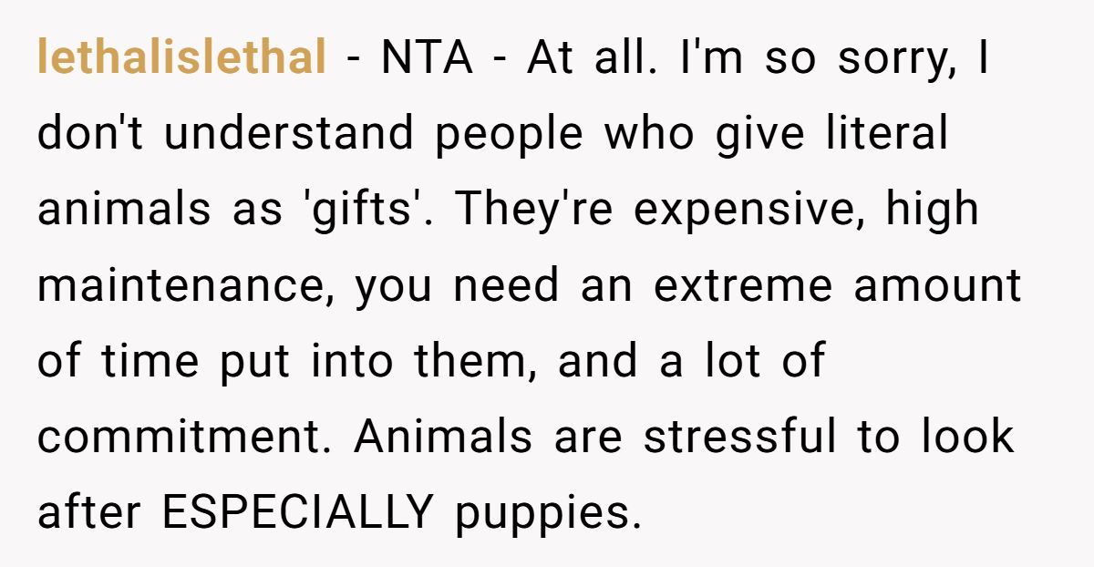 Generated by Aubtu.biz 