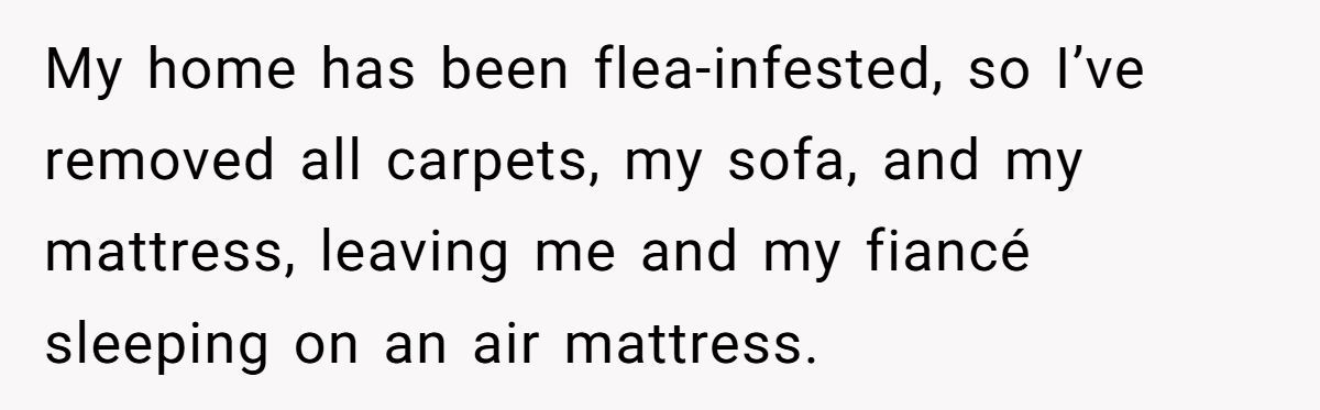 Generated by Aubtu.biz 