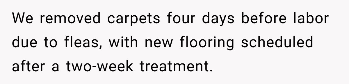 Generated by Aubtu.biz 