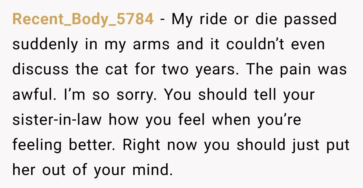 Generated by Aubtu.biz 