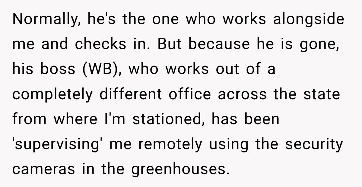 A Redditor’s Scorching Greenhouse Drama: Was Leaving Early A Cool Move Or A Hot Mess? Generated by Aubtu.biz