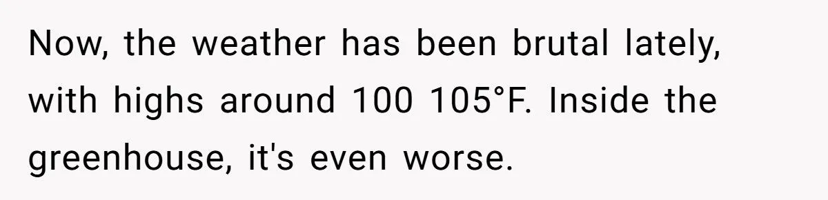 A Redditor’s Scorching Greenhouse Drama: Was Leaving Early A Cool Move Or A Hot Mess? Generated by Aubtu.biz