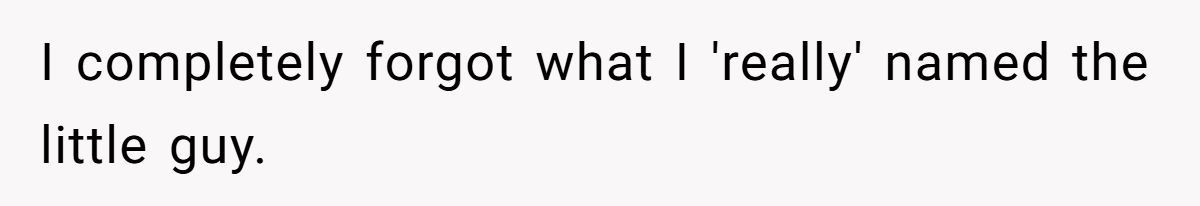 Generated by Aubtu.biz 