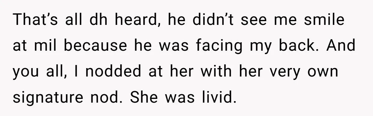 She Secretly Rearranged Her MIL’s House After Years of Petty Battles – The Revenge Was Perfect