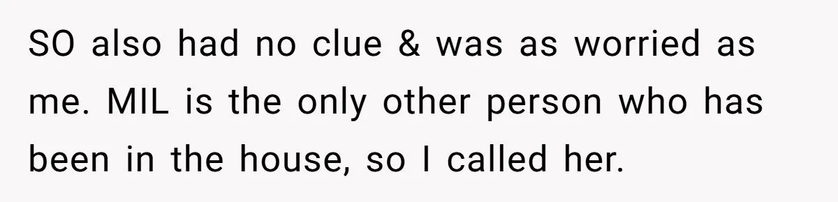 Ashes Stolen In Family Betrayal: Was Outrage Over MIL’s Theft Justified Or Overblown?
