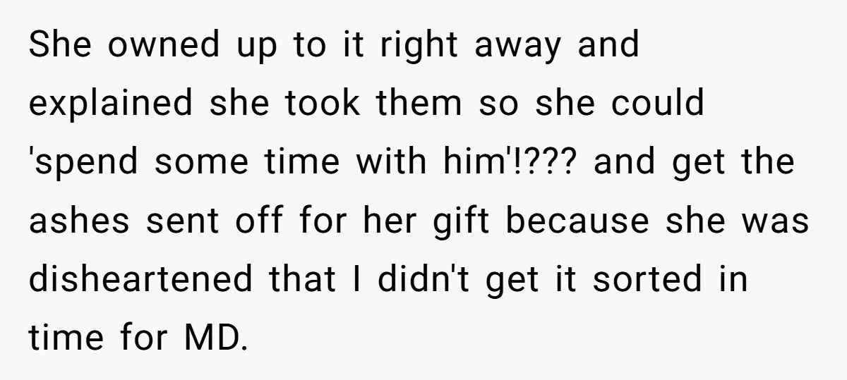 Ashes Stolen In Family Betrayal: Was Outrage Over MIL’s Theft Justified Or Overblown?